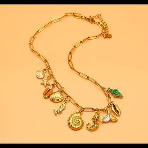 Charm necklace